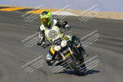 media/Dec-18-2022-SoCal Trackdays (Sun) [[8099a50955]]/Turns 9 and 10 Set 1 (1045am)/